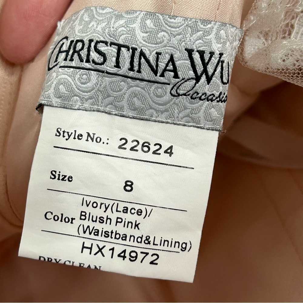 Christina Wu Lace Overlay Sleeveless Mermaid Maxi Gown - Picture 12 of 16